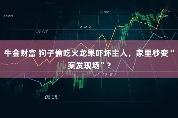 牛金财富 狗子偷吃火龙果吓坏主人，家里秒变“案发现场”？