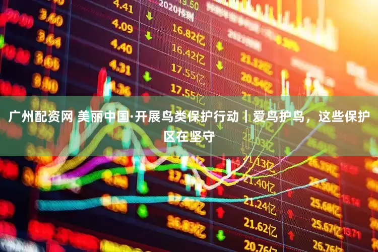 广州配资网 美丽中国·开展鸟类保护行动｜爱鸟护鸟，这些保护区在坚守