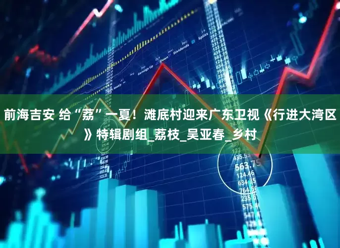 前海吉安 给“荔”一夏！滩底村迎来广东卫视《行进大湾区》特辑剧组_荔枝_吴亚春_乡村