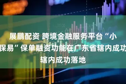 展鵬配资 跨境金融服务平台“小微信保易”保单融资功能在广东省辖内成功落地