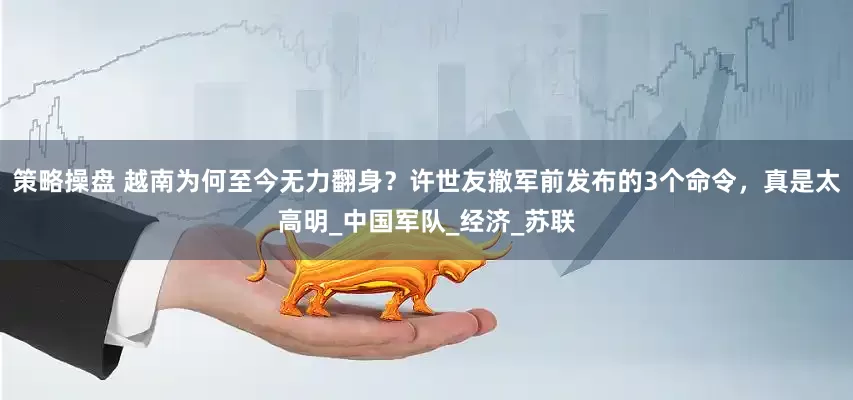 策略操盘 越南为何至今无力翻身？许世友撤军前发布的3个命令，真是太高明_中国军队_经济_苏联