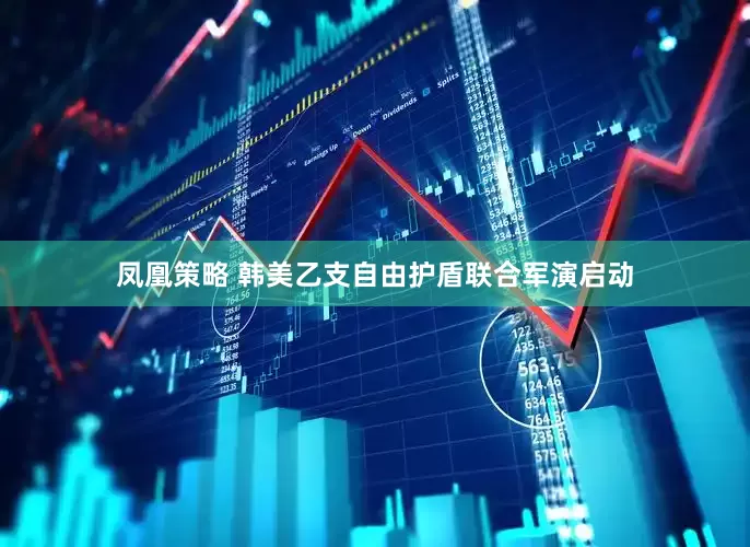 凤凰策略 韩美乙支自由护盾联合军演启动